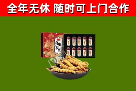 隰县回收冬虫夏草价格